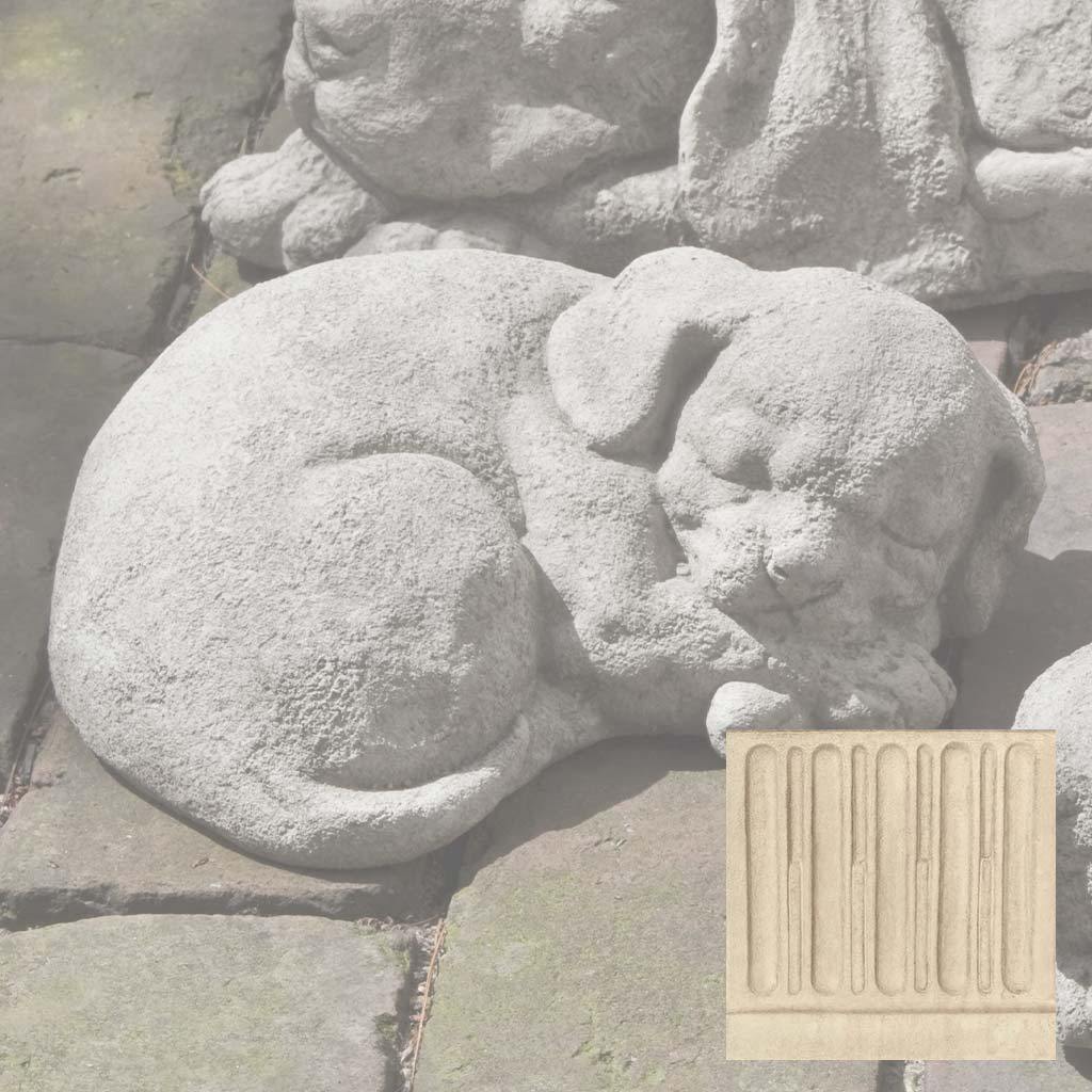 Small Curled Dog