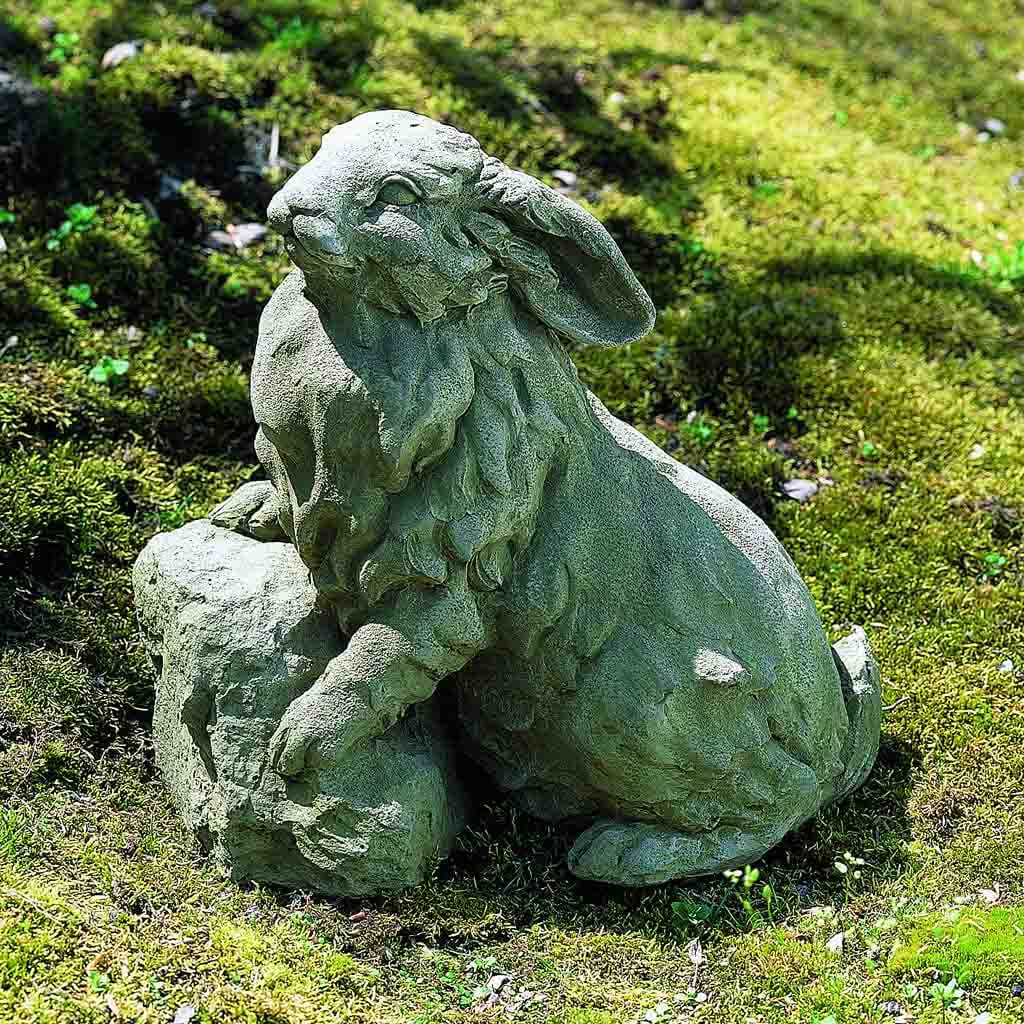 Rabbit on a Rock