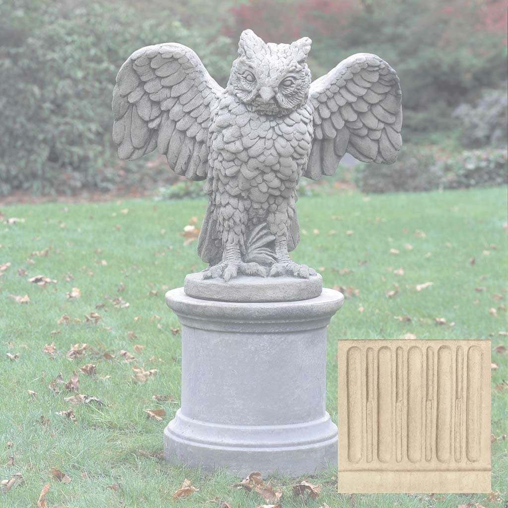 Soaring Owl