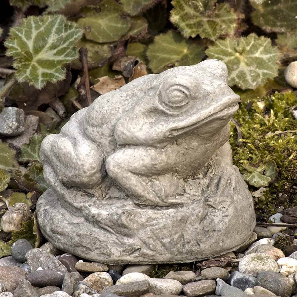 Tiny Frog