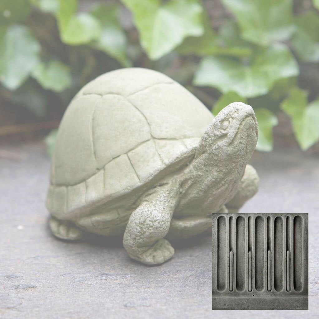 Box Turtle