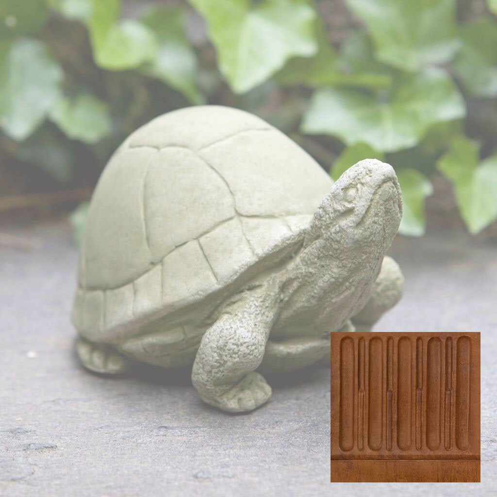 Box Turtle