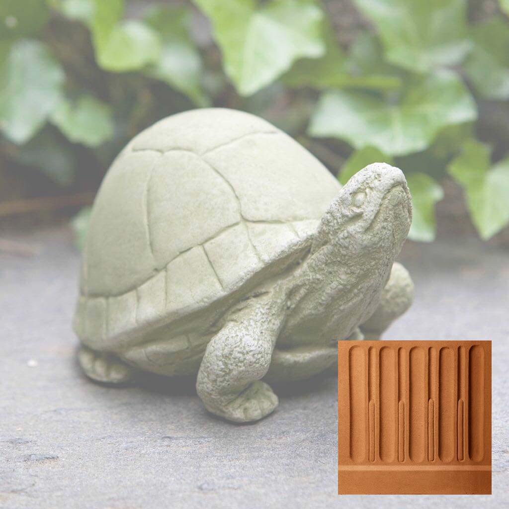 Box Turtle