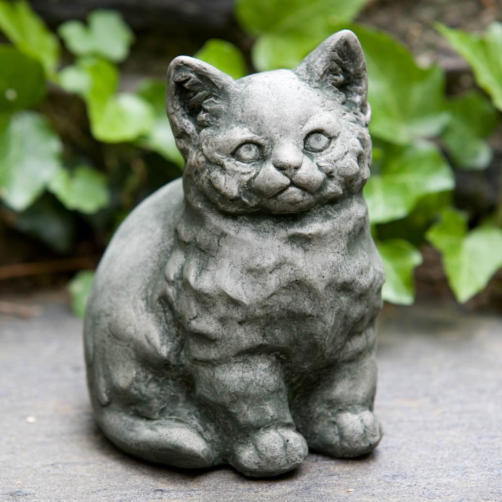 Kitty