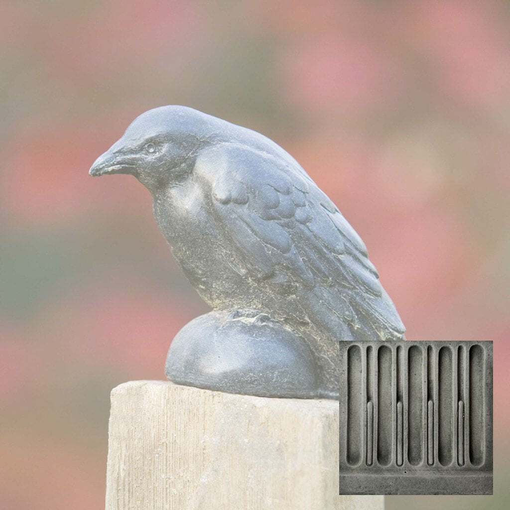 Small Raven