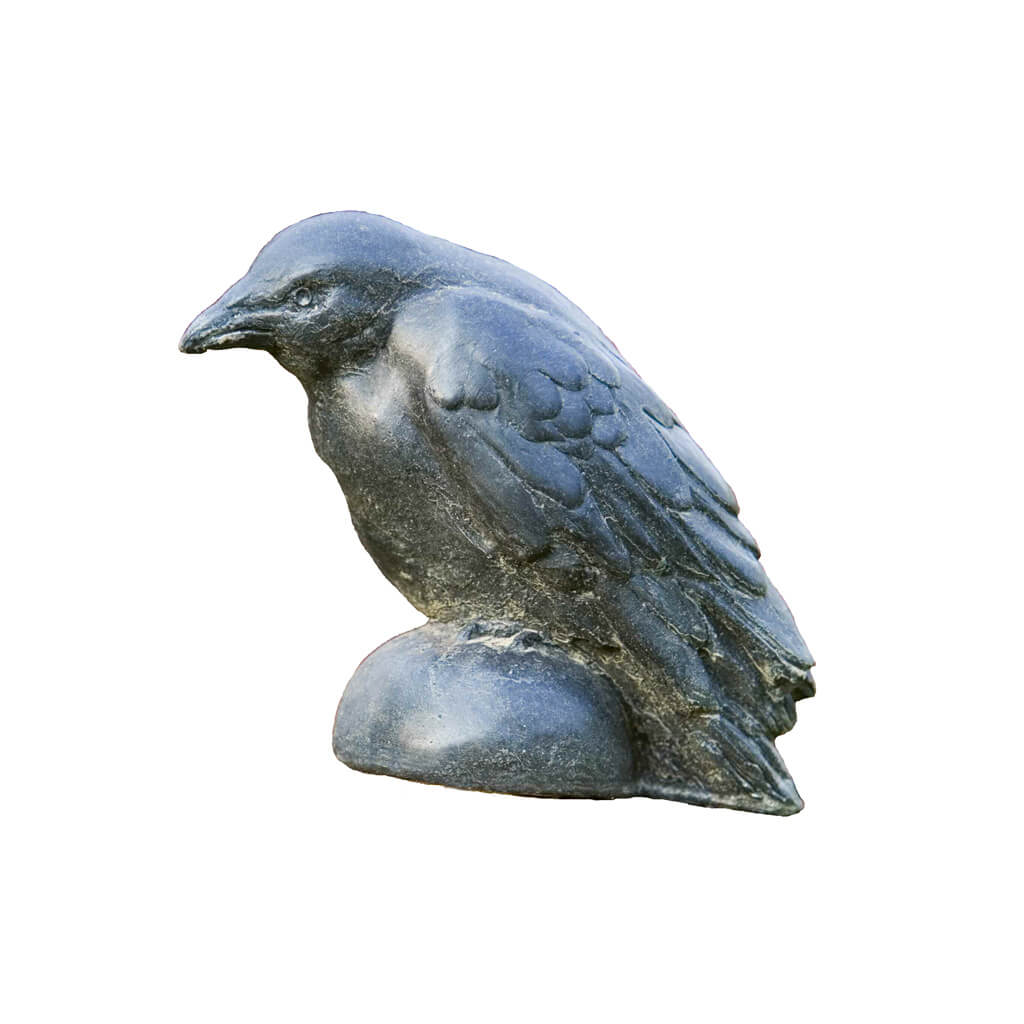 Small Raven