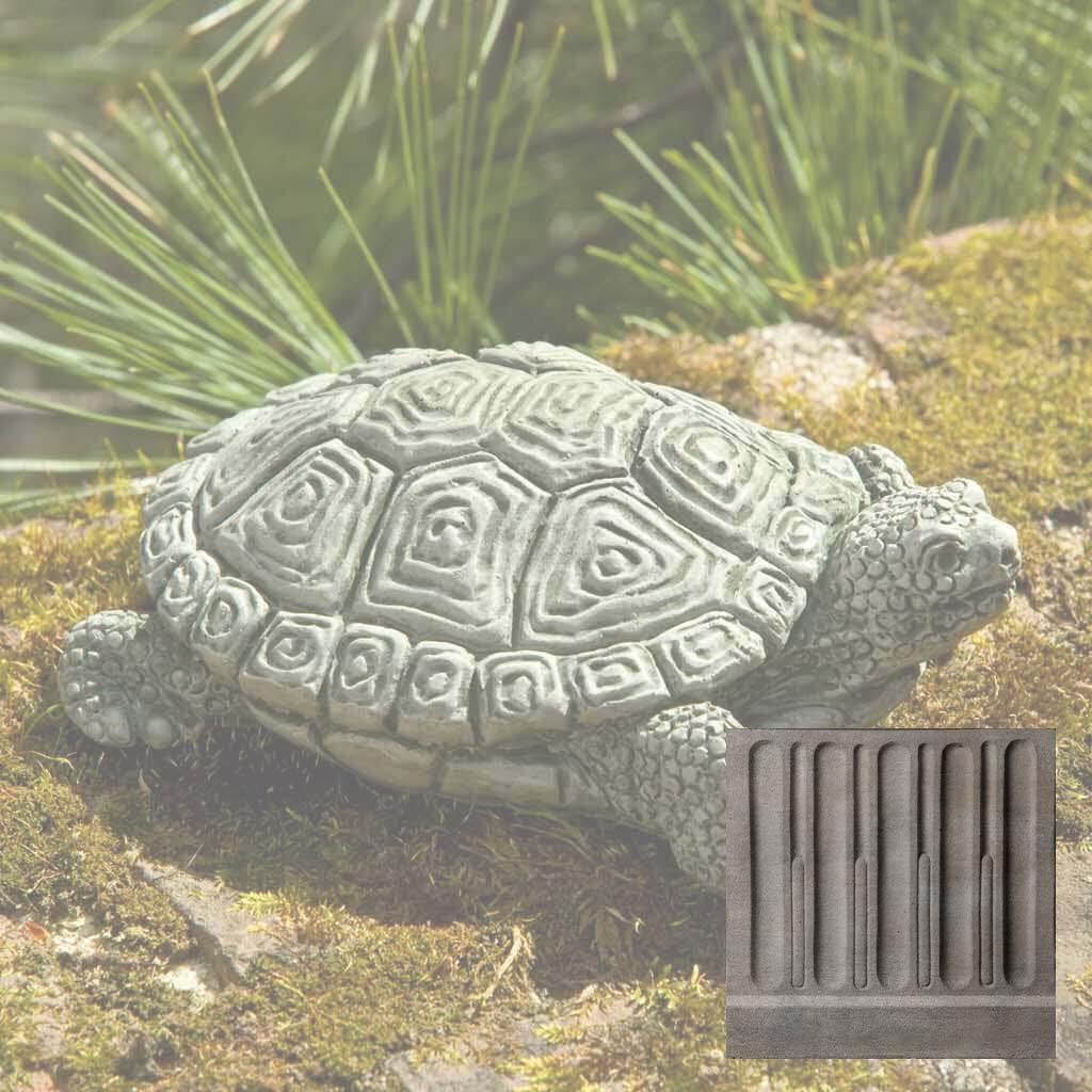 My Pet Turtle