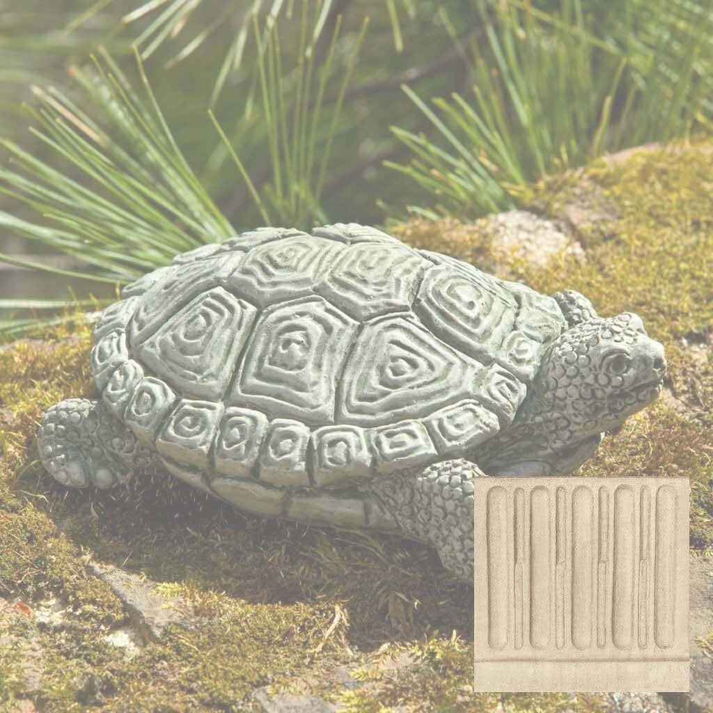 My Pet Turtle