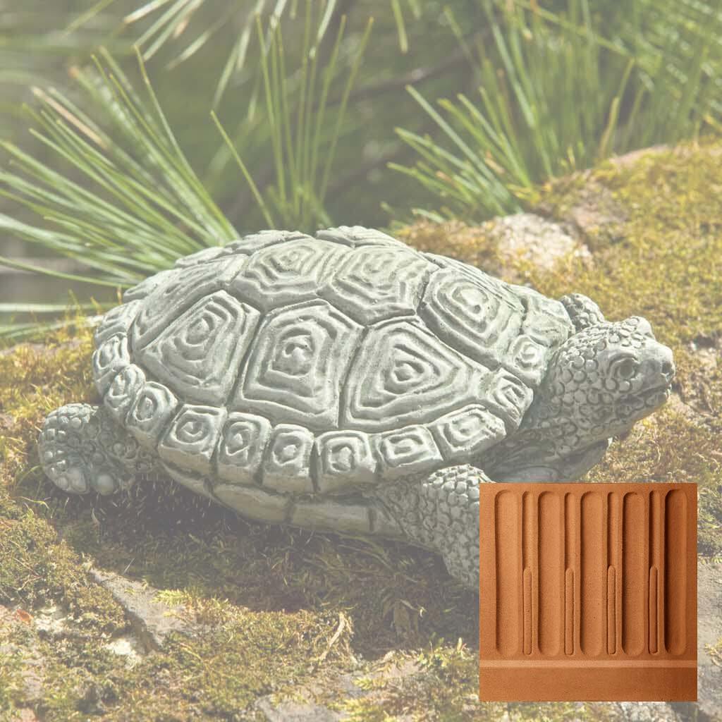 My Pet Turtle
