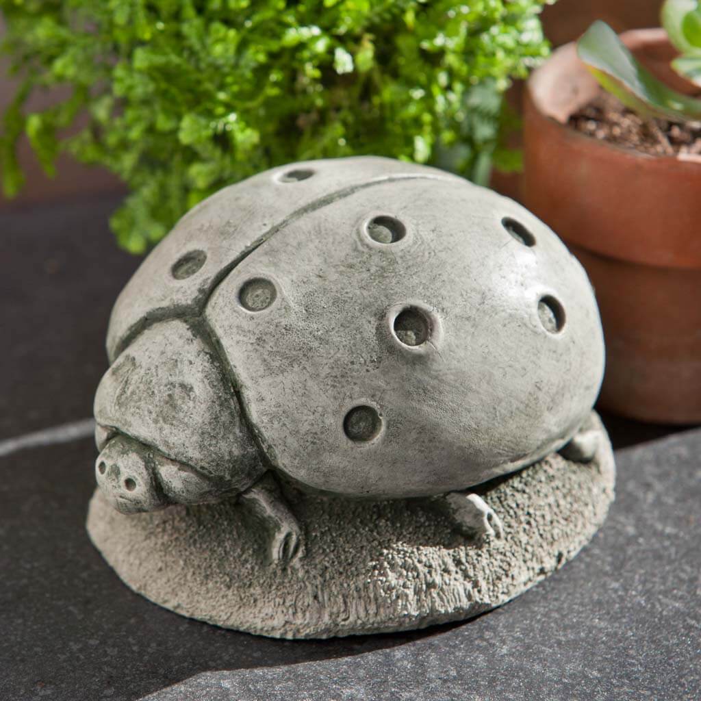Ladybug