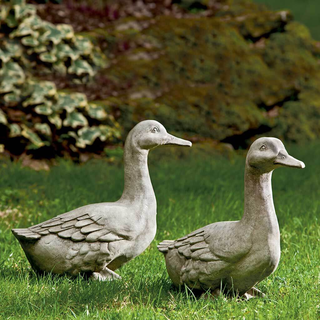 Quackers
