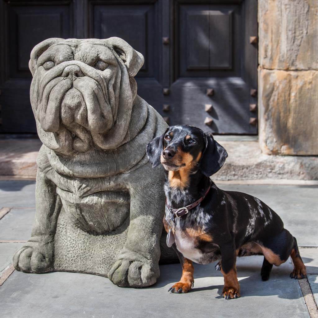Antique Bulldog