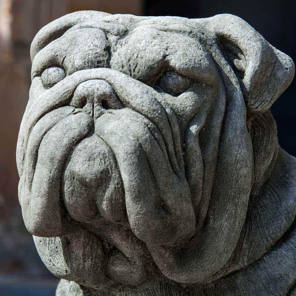 Antique Bulldog