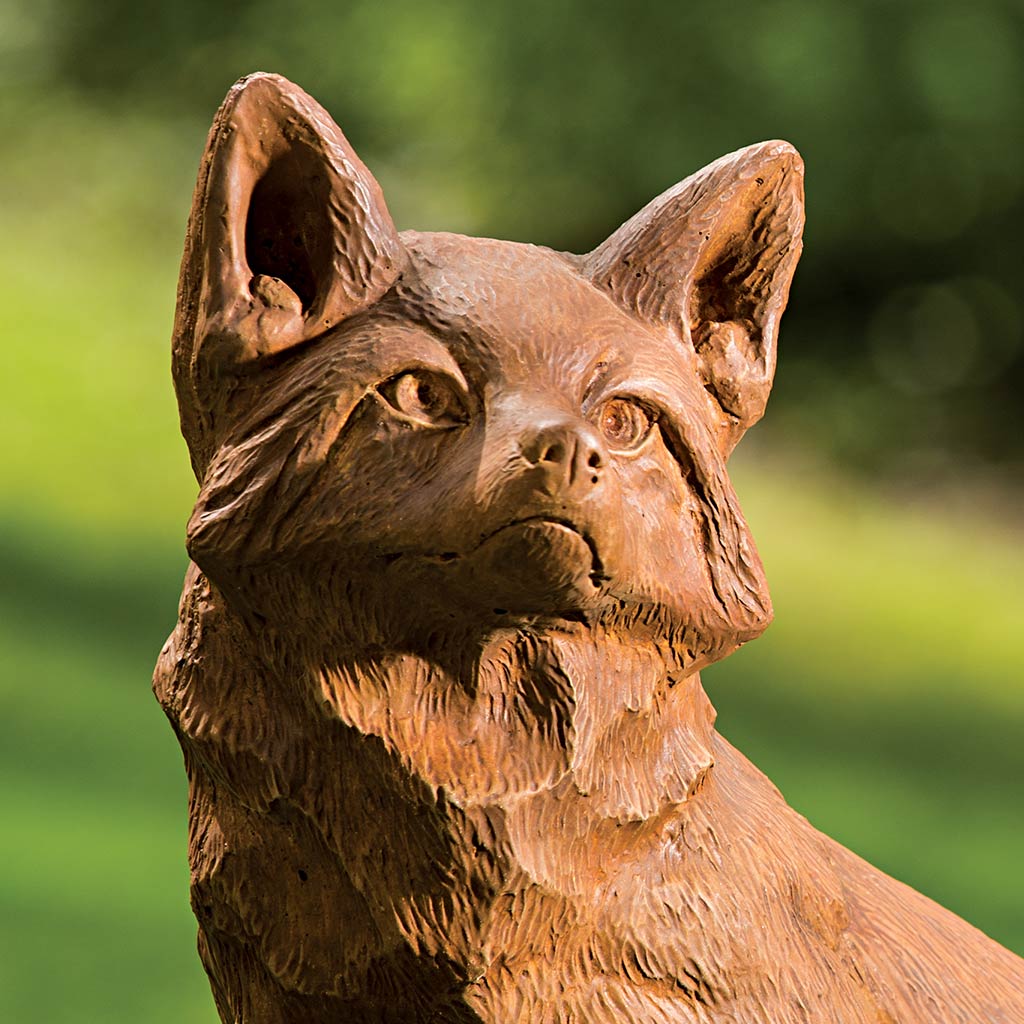 Noble Fox