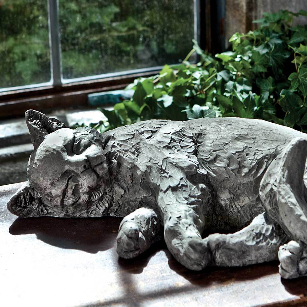 Dreaming Kitty
