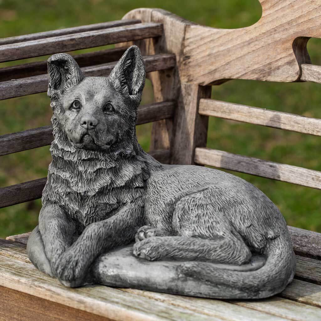Shepherd Pup