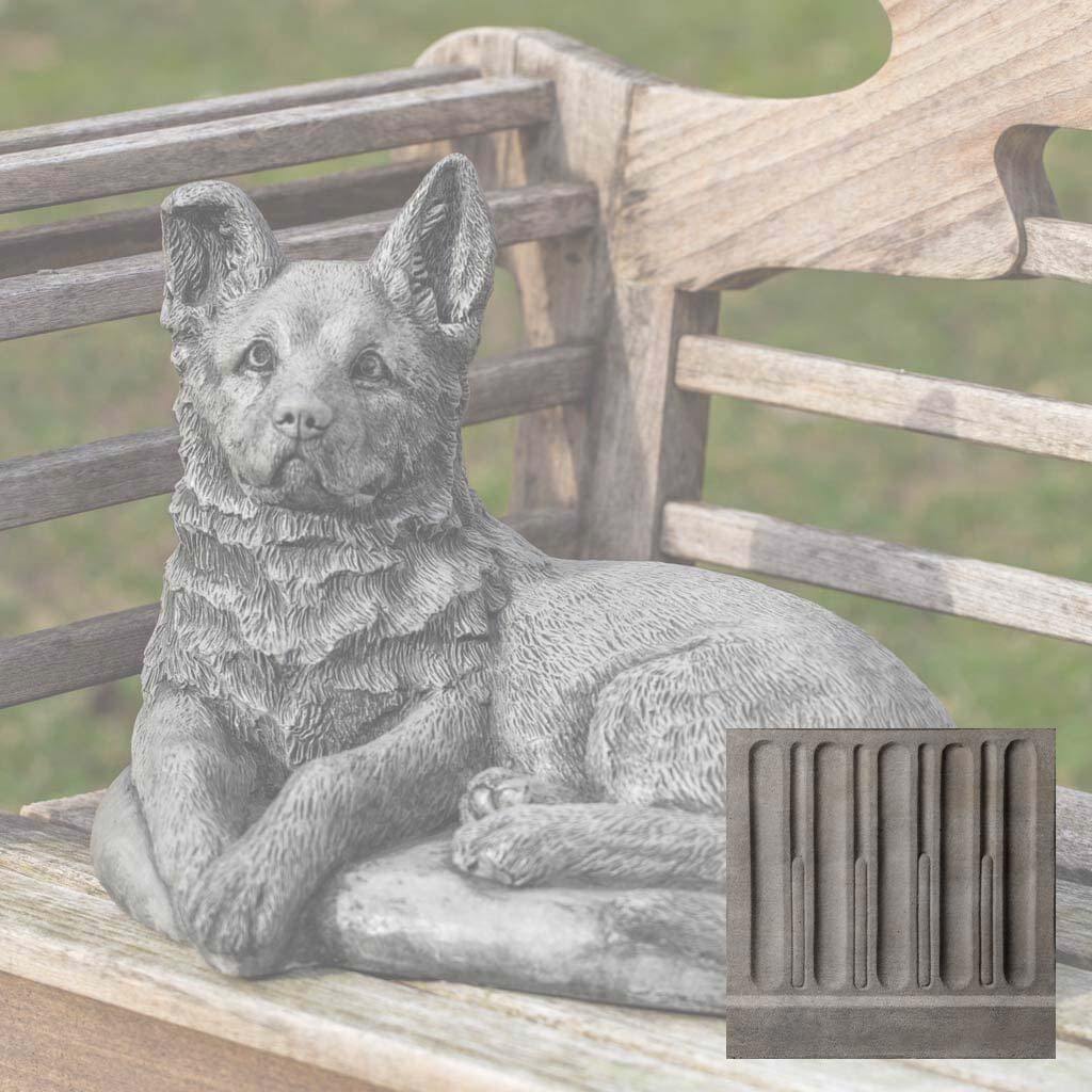 Shepherd Pup