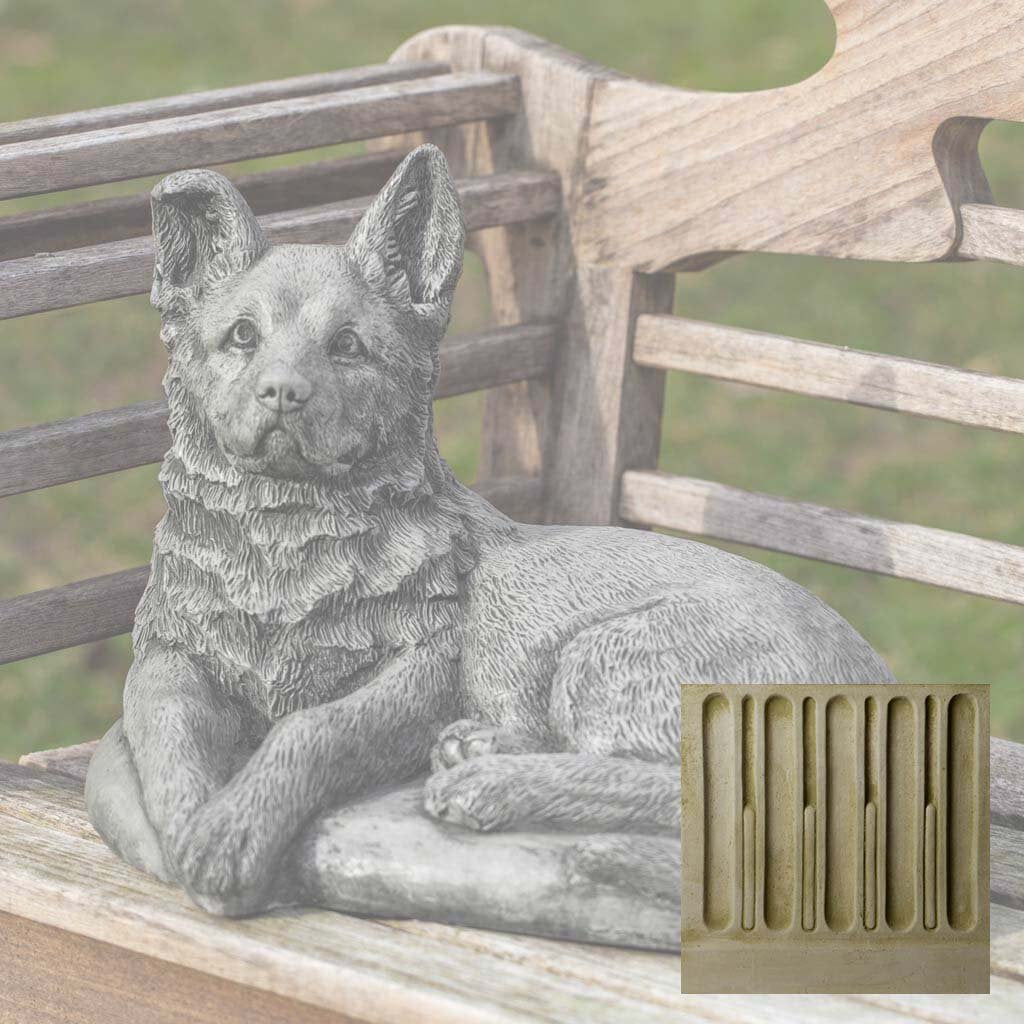Shepherd Pup