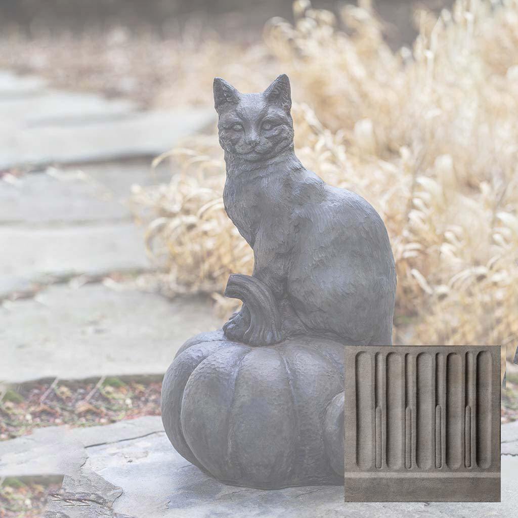 Cat on Pumpkin