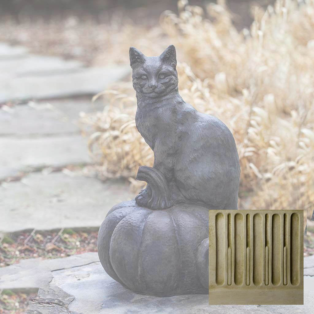 Cat on Pumpkin