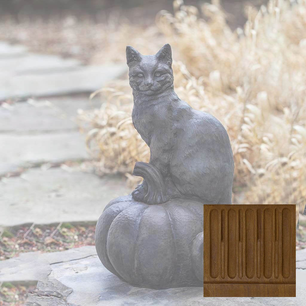 Cat on Pumpkin