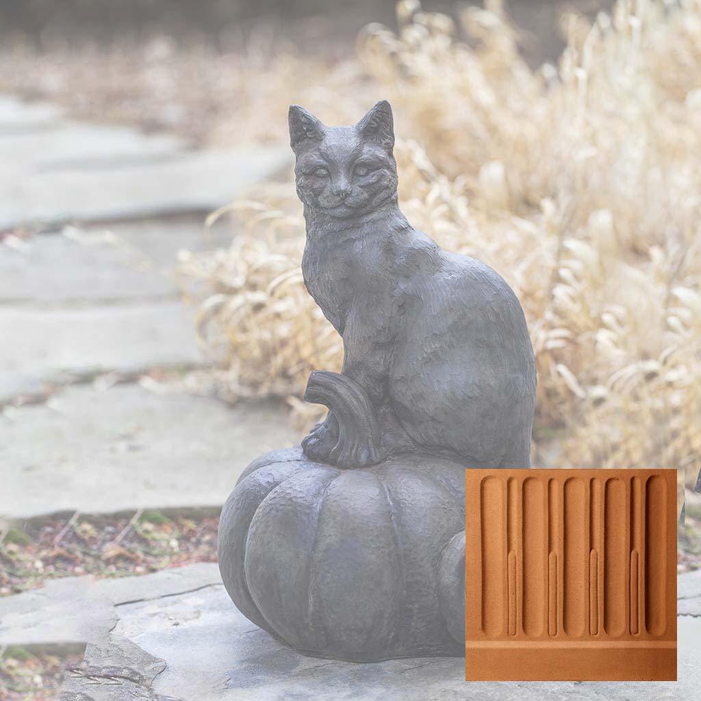 Cat on Pumpkin