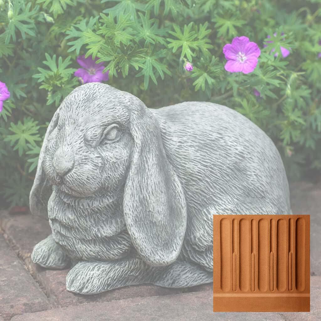 Lop-Eared Bunny