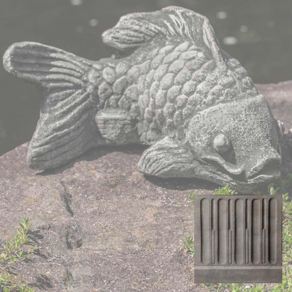 Coy Koi