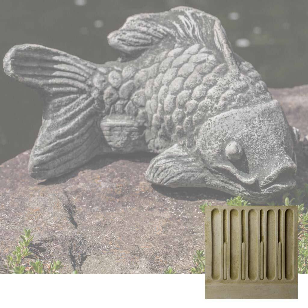 Coy Koi