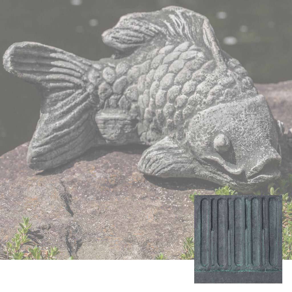 Coy Koi