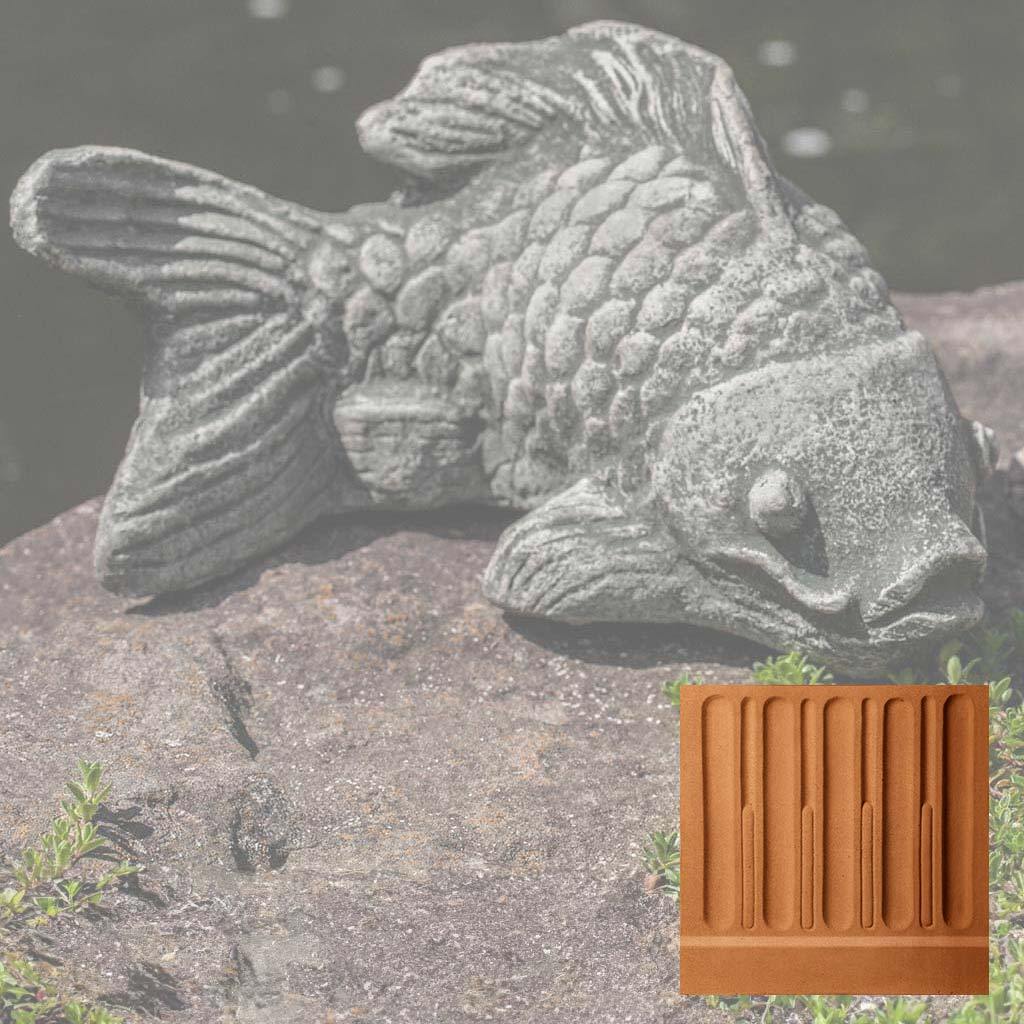 Coy Koi
