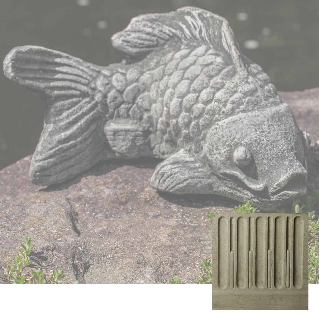 Coy Koi