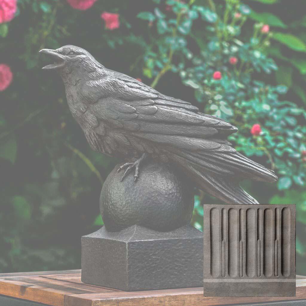 Corvus