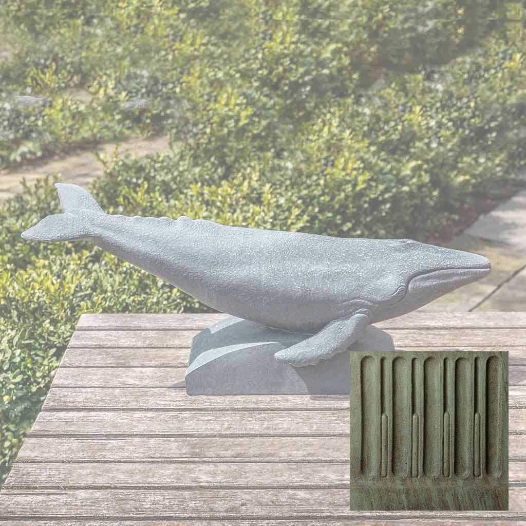 Humpback Whale