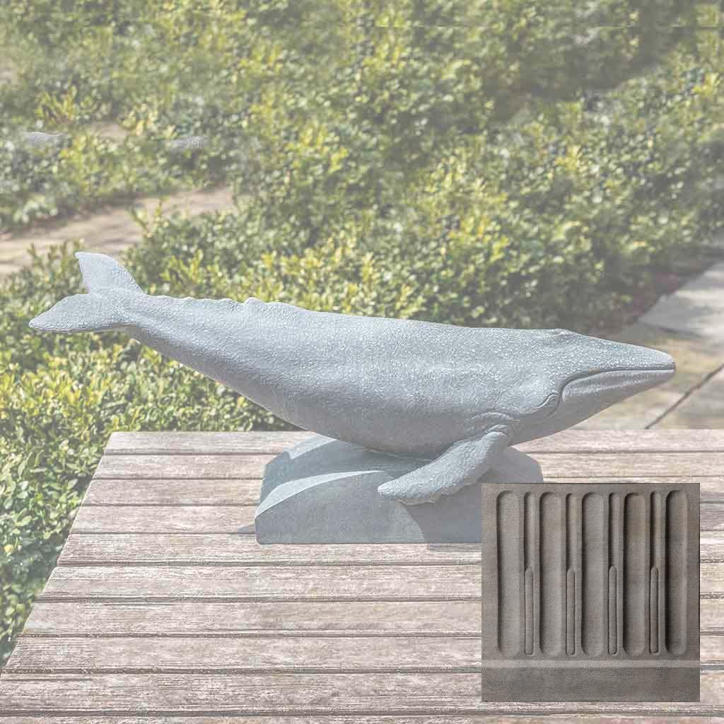 Humpback Whale