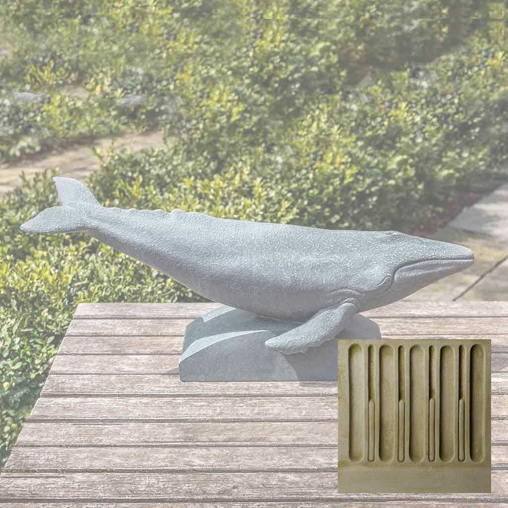 Humpback Whale