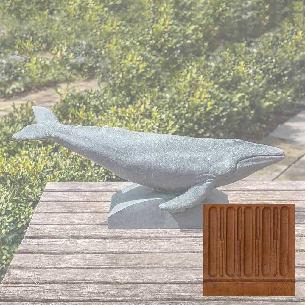 Humpback Whale