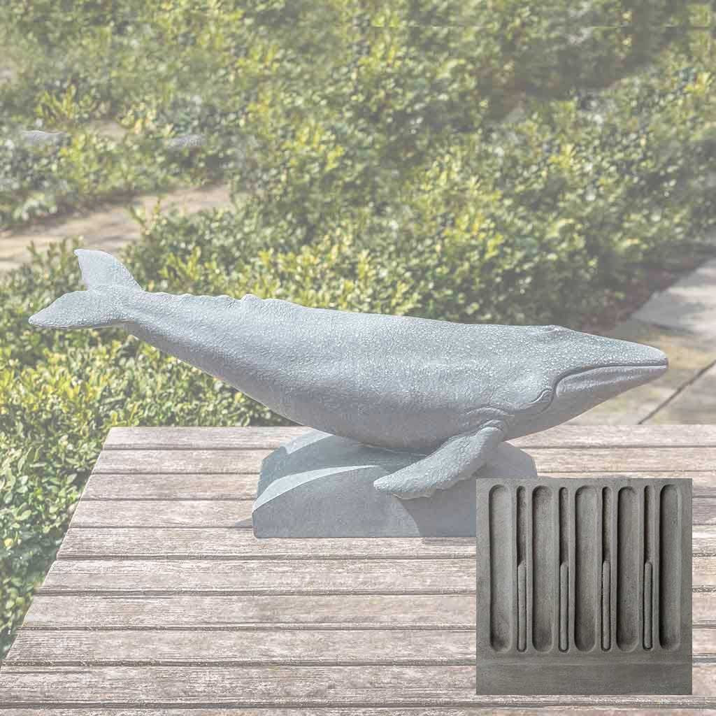 Humpback Whale