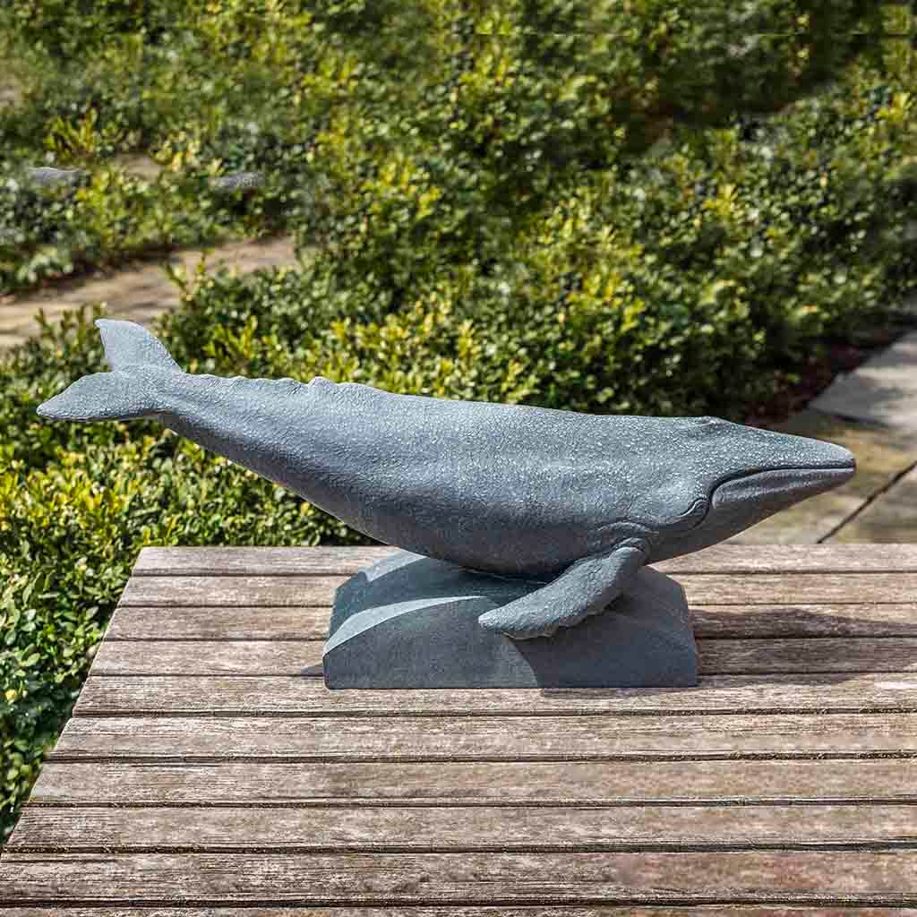 Humpback Whale