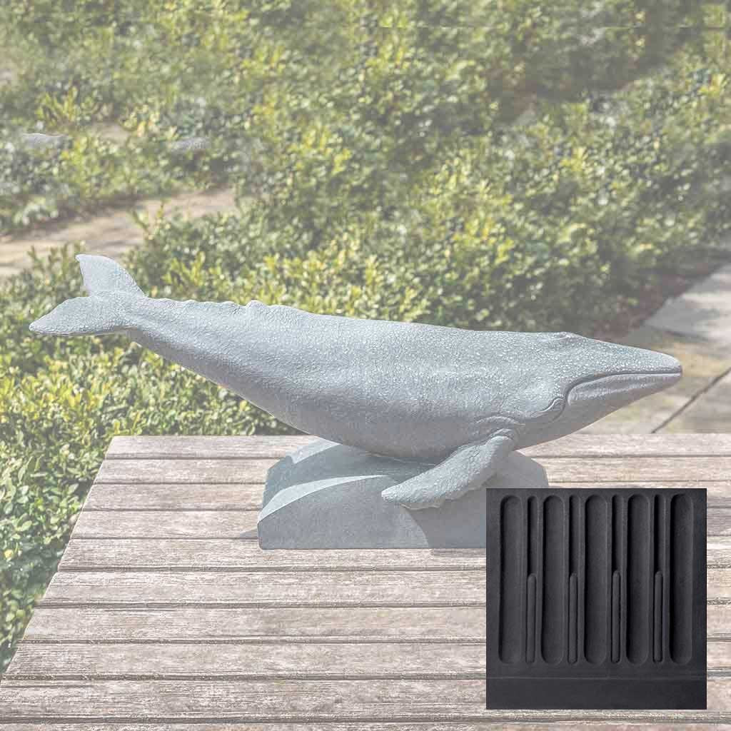 Humpback Whale