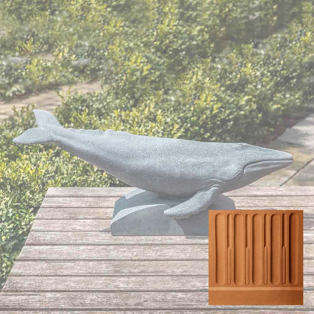 Humpback Whale