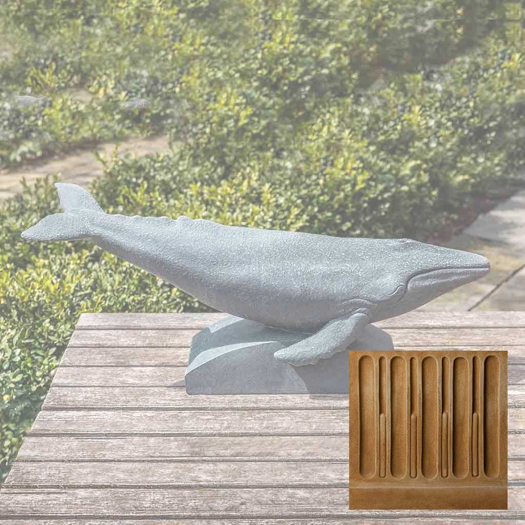 Humpback Whale