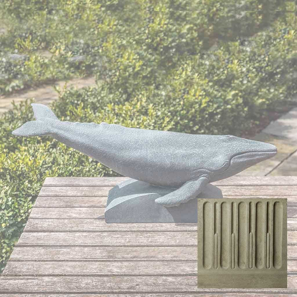 Humpback Whale