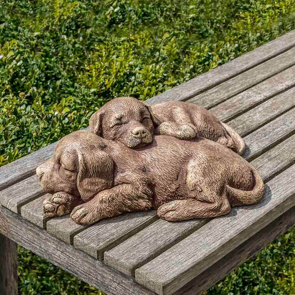 Nap Time Puppies