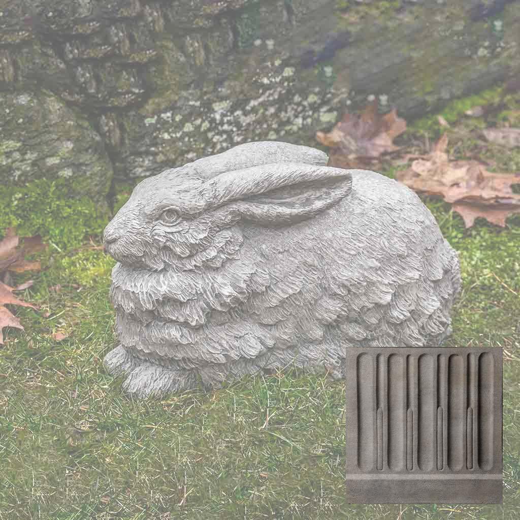 Flemish Hare
