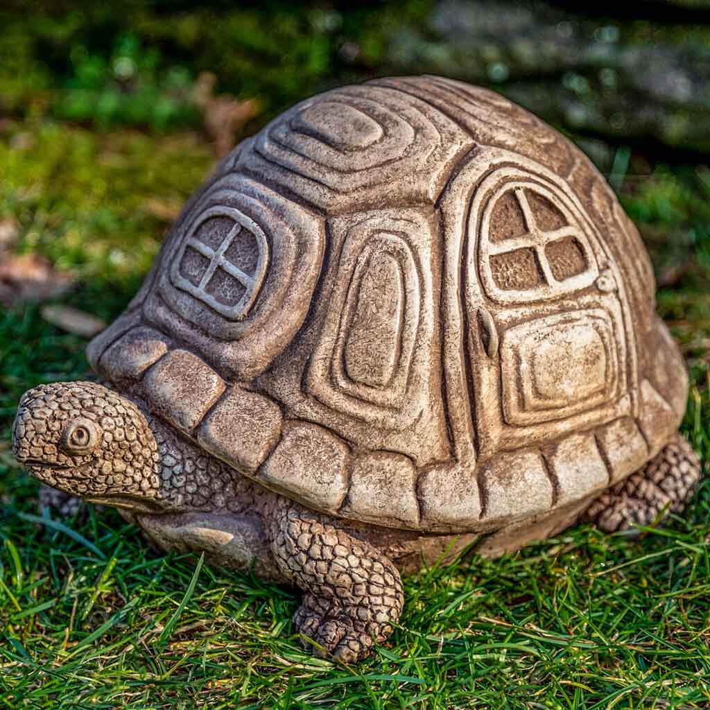 Traveling Turtle