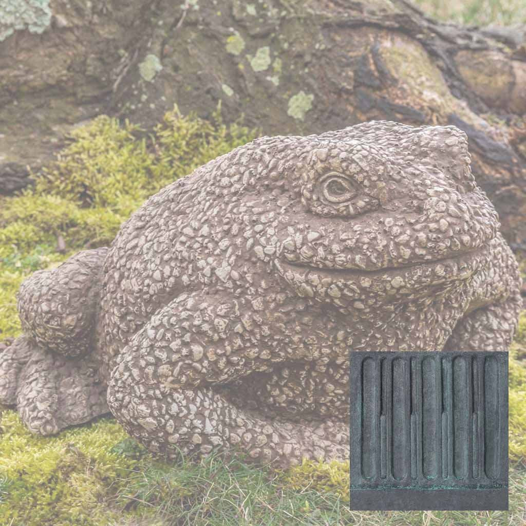 Forest Toad