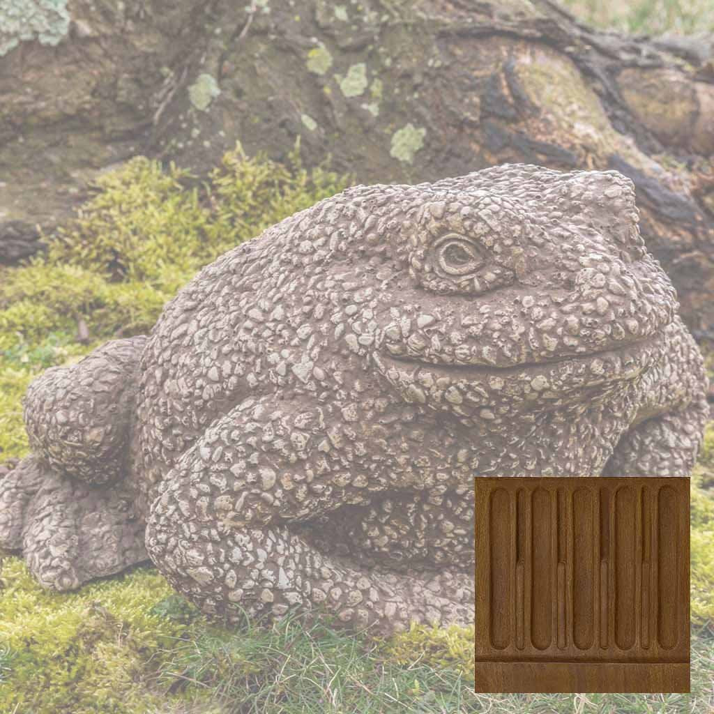 Forest Toad