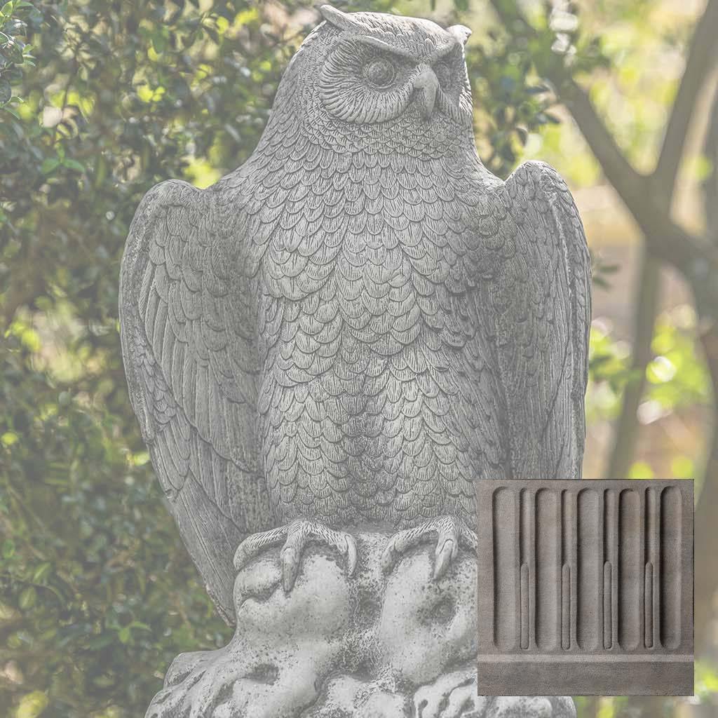 August Owl