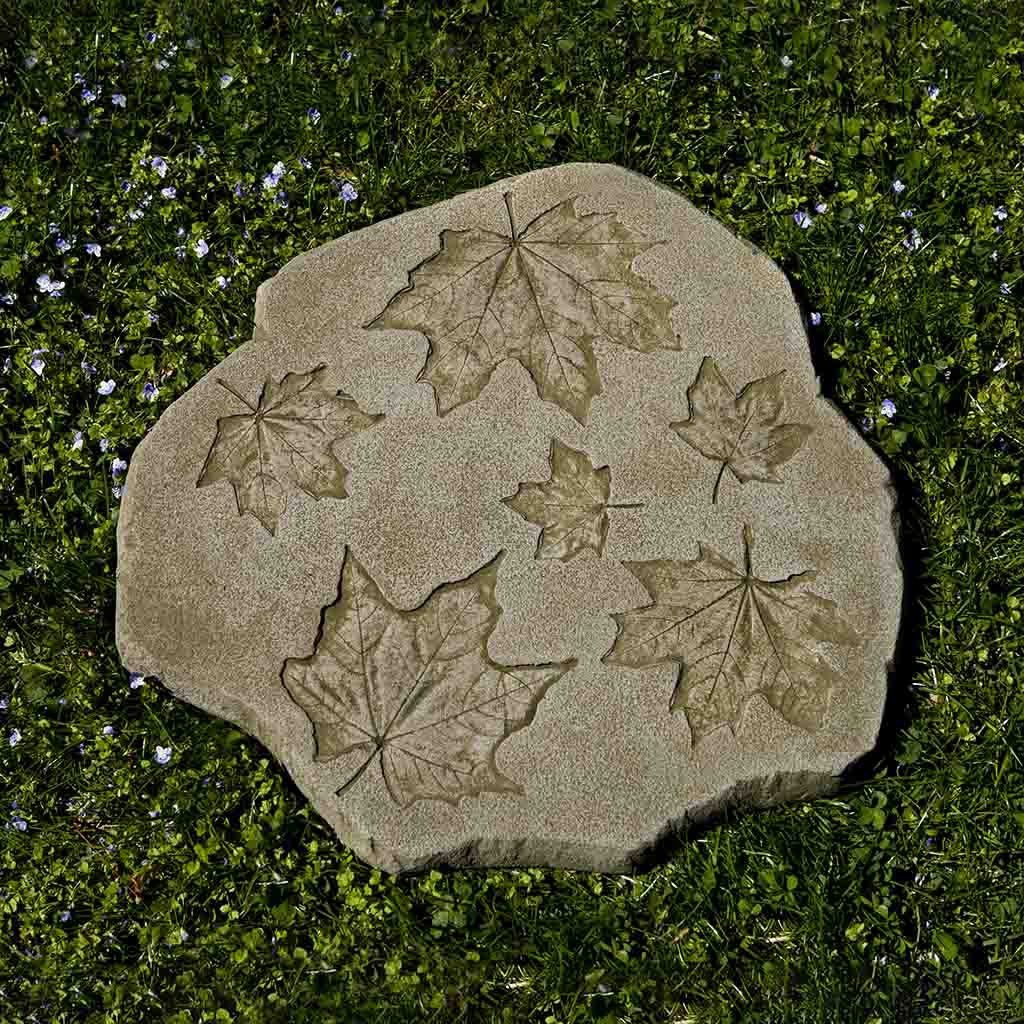 Sugar Maple Stepper